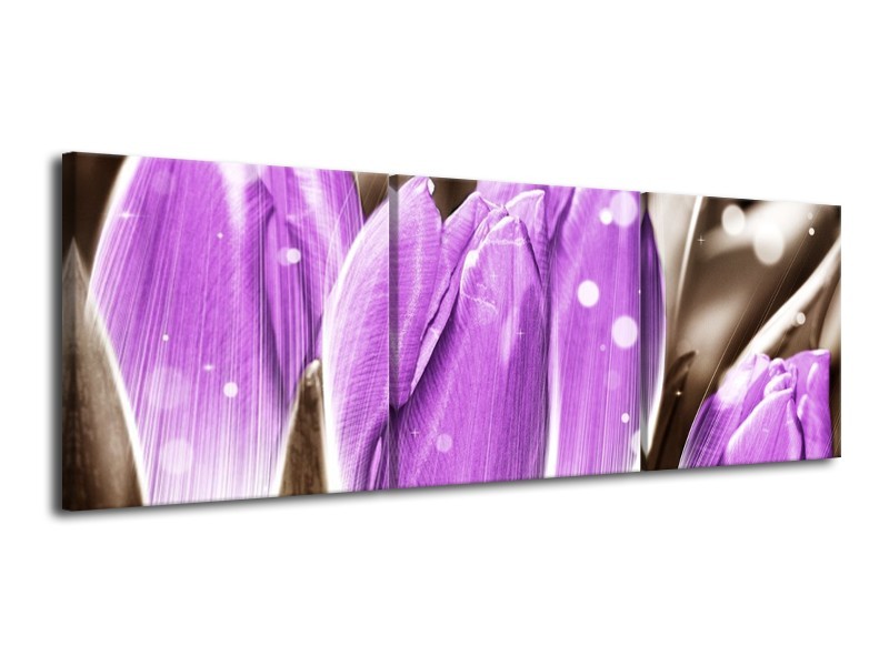 Canvas schilderij Tulp | Paars, Grijs | 120x40cm 3Luik