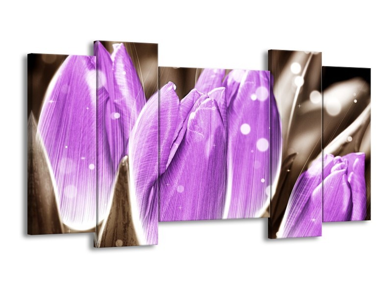 Canvas schilderij Tulp | Paars, Grijs | 120x65 5Luik