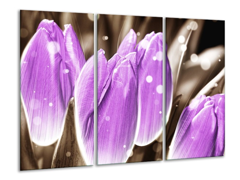 Canvas schilderij Tulp | Paars, Grijs | 120x80cm 3Luik