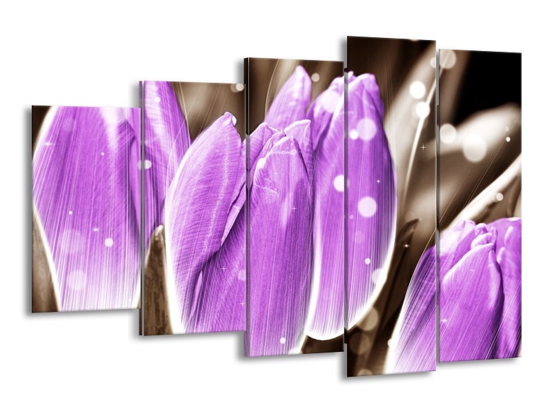 Canvas schilderij Tulp | Paars, Grijs | 150x100cm 5Luik