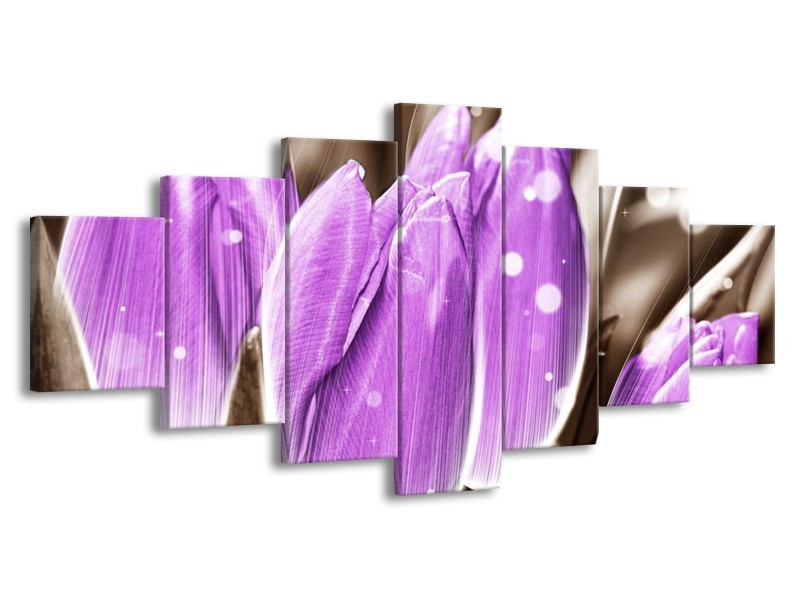 Canvas schilderij Tulp | Paars, Grijs | 210x100cm 7Luik