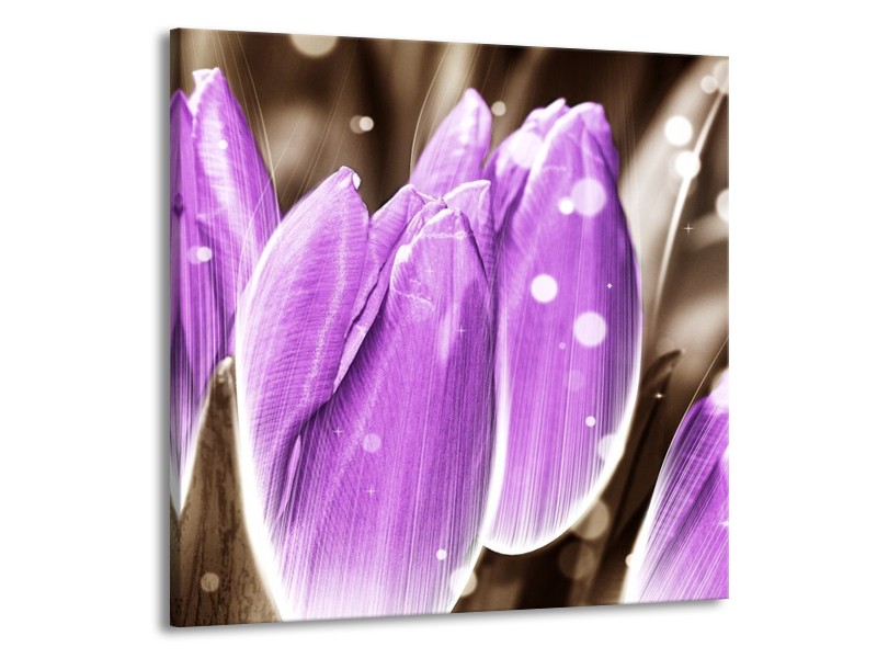 Canvas schilderij Tulp | Paars, Grijs | 50x50cm 1Luik