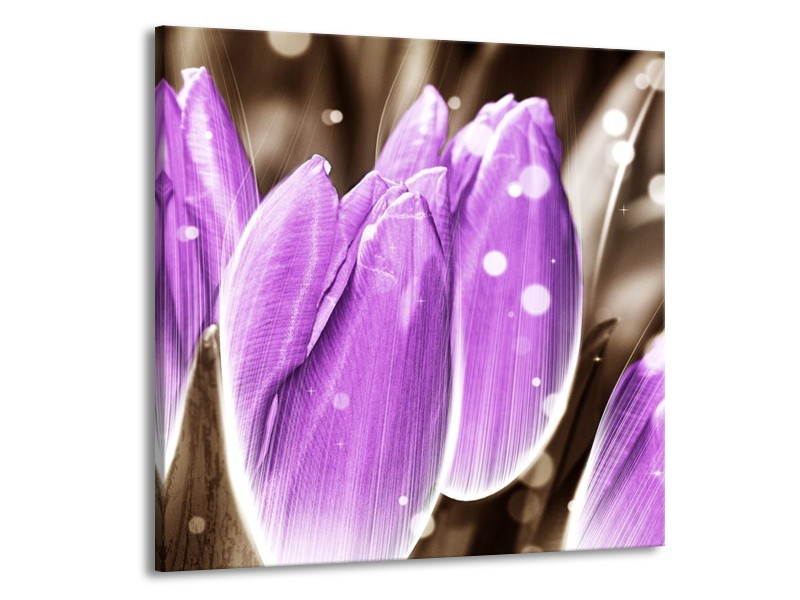 Canvas schilderij Tulp | Paars, Grijs | 70x70cm 1Luik