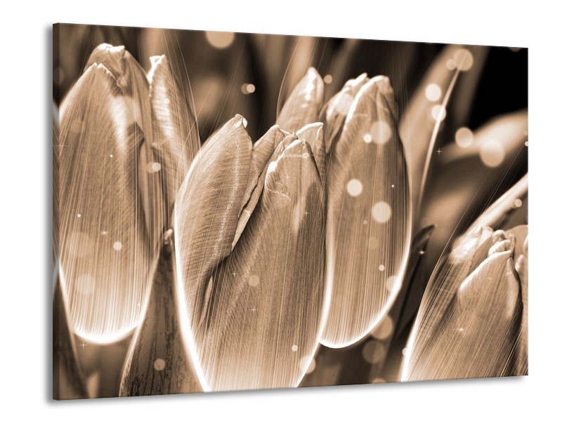 Canvas schilderij Tulp | Grijs, Zwart | 100x70cm 1Luik