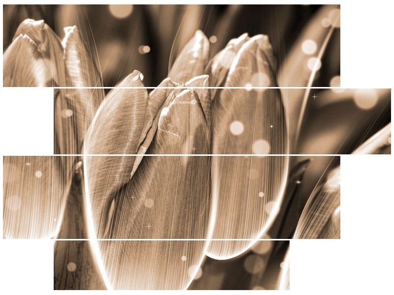 Glas schilderij Tulp | Grijs, Zwart | 115x85cm 4Luik