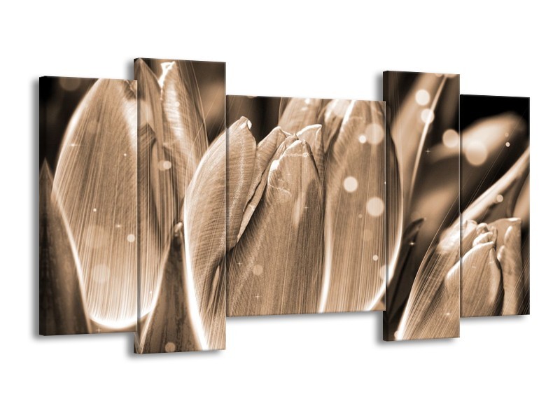 Glas schilderij Tulp | Grijs, Zwart | 120x65cm 5Luik