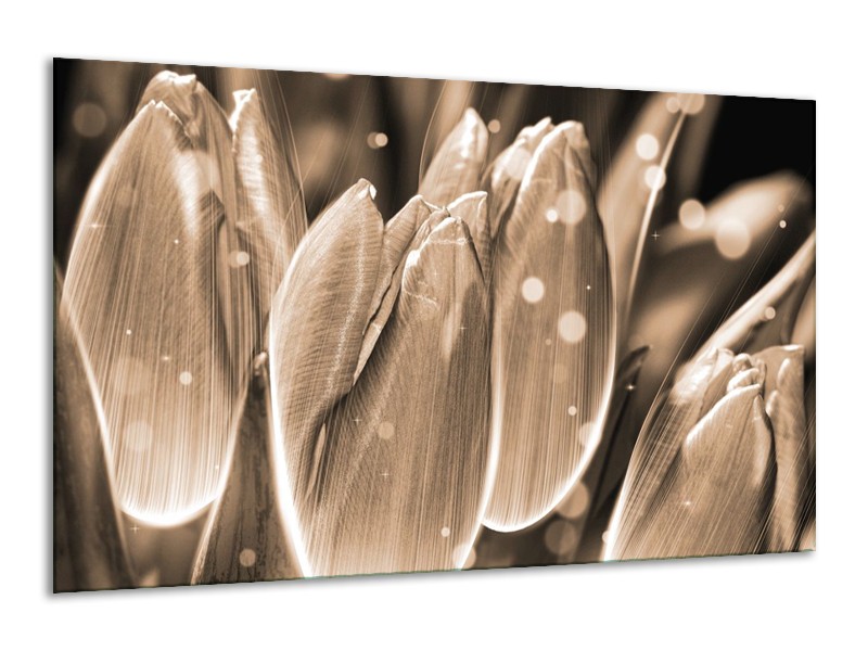 Glas schilderij Tulp | Grijs, Zwart | 120x70cm 1Luik