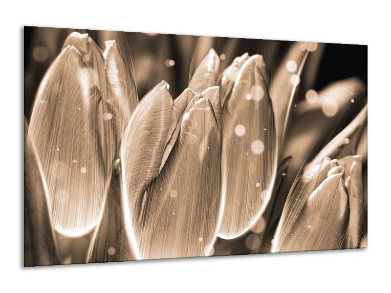 Canvas schilderij Tulp | Grijs, Zwart | 120x70cm 1Luik