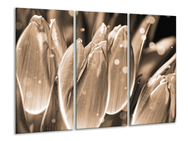 Canvas schilderij Tulp | Grijs, Zwart | 120x80cm 3Luik