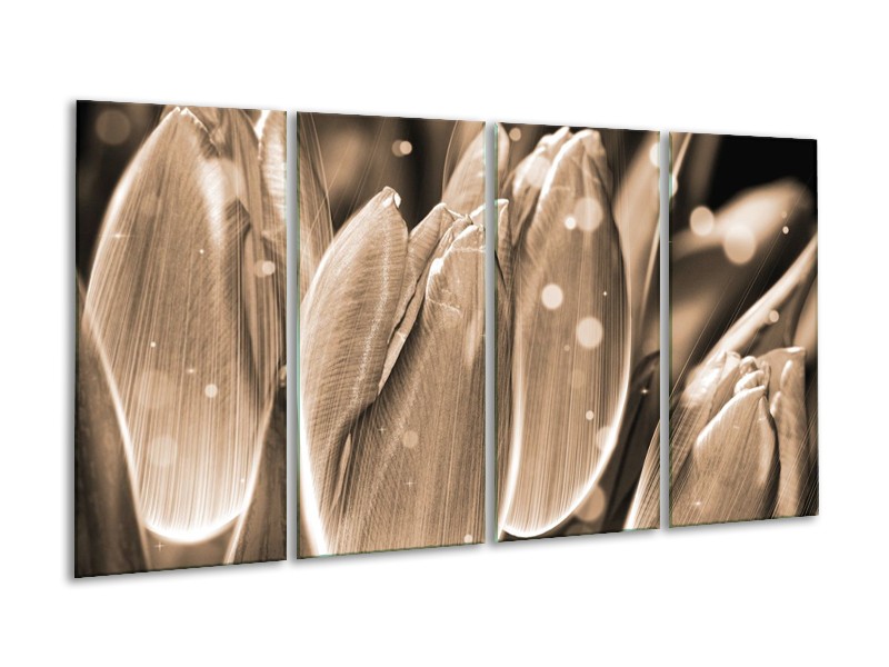 Canvas schilderij Tulp | Grijs, Zwart | 160x80cm 4Luik