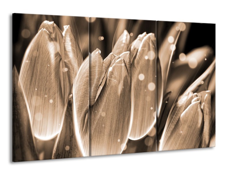 Canvas schilderij Tulp | Grijs, Zwart | 165x100cm 3Luik