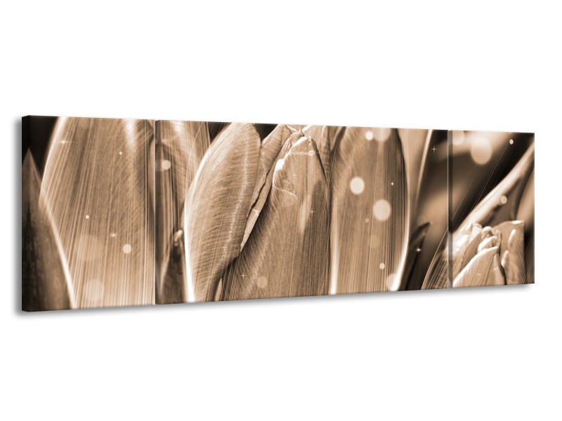 Canvas schilderij Tulp | Grijs, Zwart | 170x50cm 3Luik