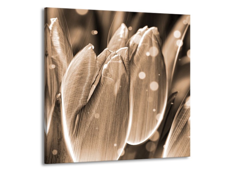 Glas schilderij Tulp | Grijs, Zwart | 50x50cm 1Luik