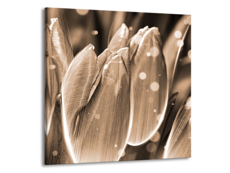 Canvas schilderij Tulp | Grijs, Zwart | 50x50cm 1Luik