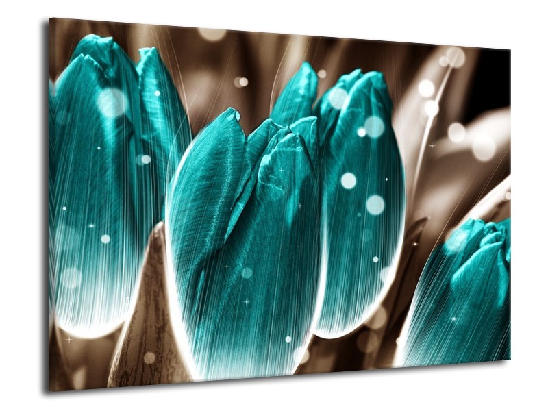 Canvas schilderij Tulp | Blauw, Grijs | 70x50cm 1Luik