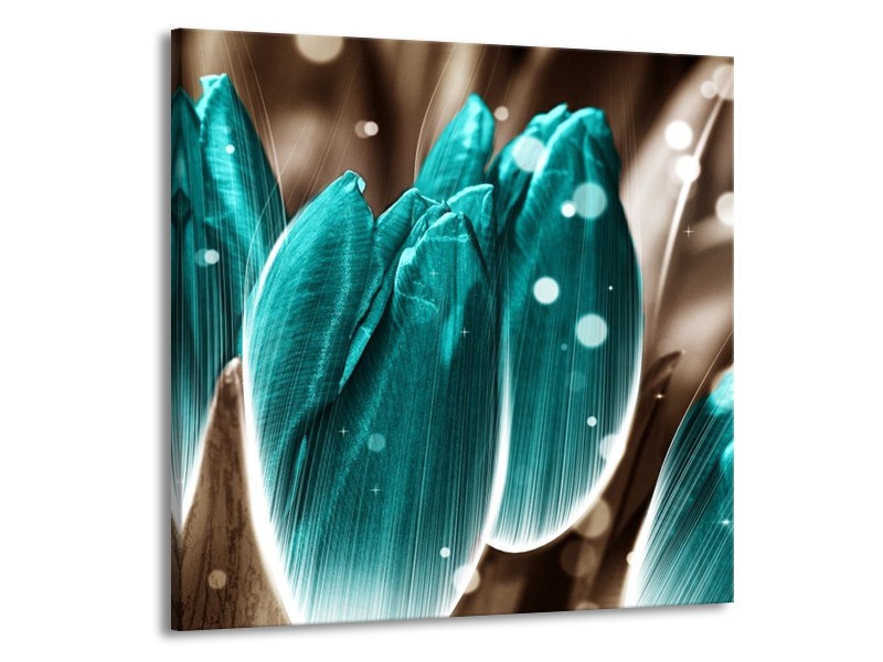 Canvas schilderij Tulp | Blauw, Grijs | 70x70cm 1Luik