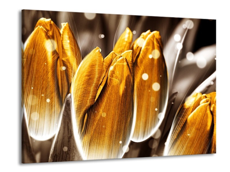 Canvas schilderij Tulp | Oranje, Grijs | 100x70cm 1Luik