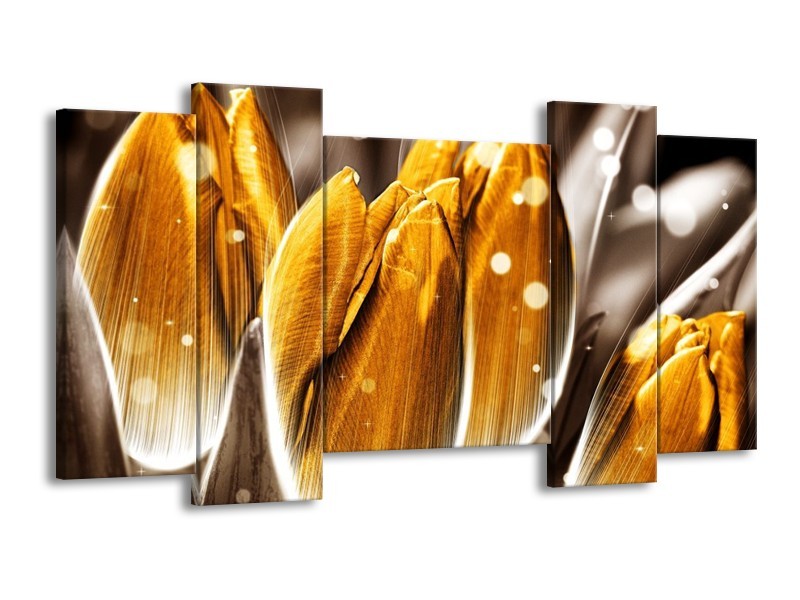 Canvas schilderij Tulp | Oranje, Grijs | 120x65 5Luik