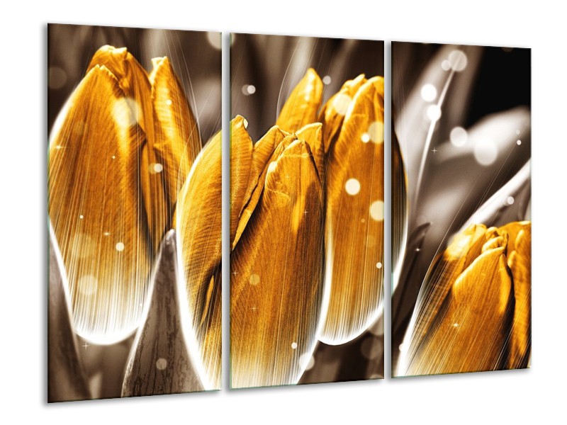 Canvas schilderij Tulp | Oranje, Grijs | 120x80cm 3Luik