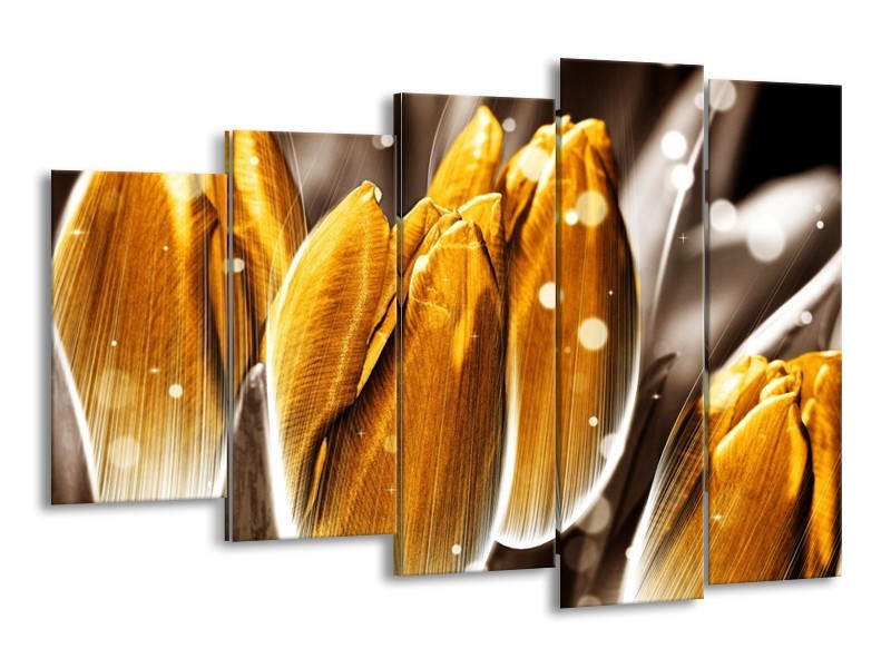 Canvas schilderij Tulp | Oranje, Grijs | 150x100cm 5Luik