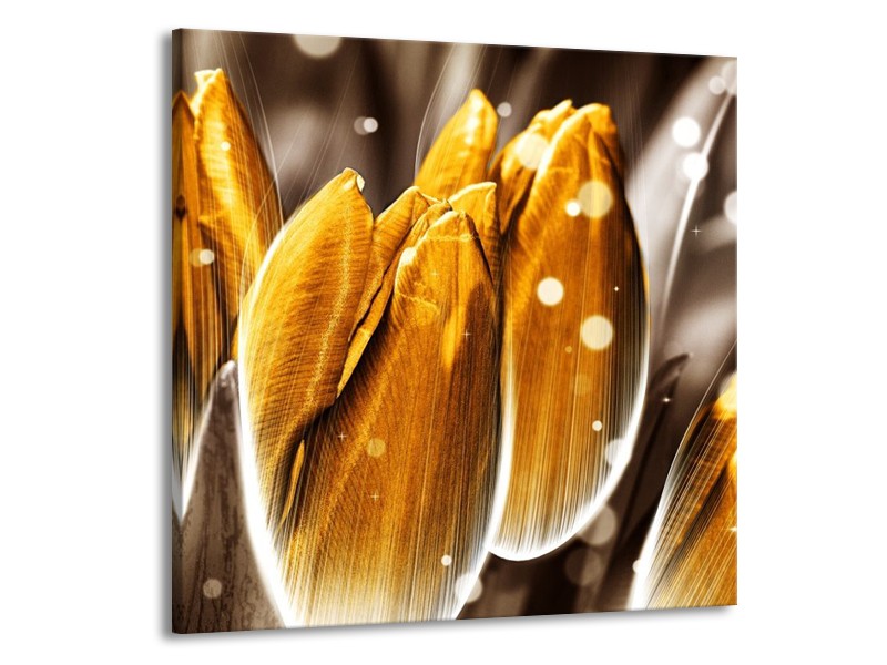Canvas schilderij Tulp | Oranje, Grijs | 50x50cm 1Luik