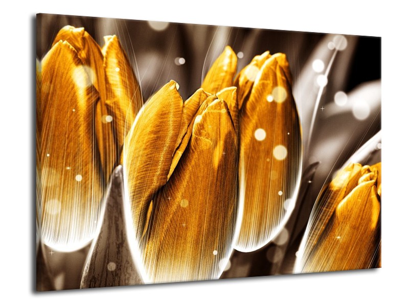 Canvas schilderij Tulp | Oranje, Grijs | 70x50cm 1Luik