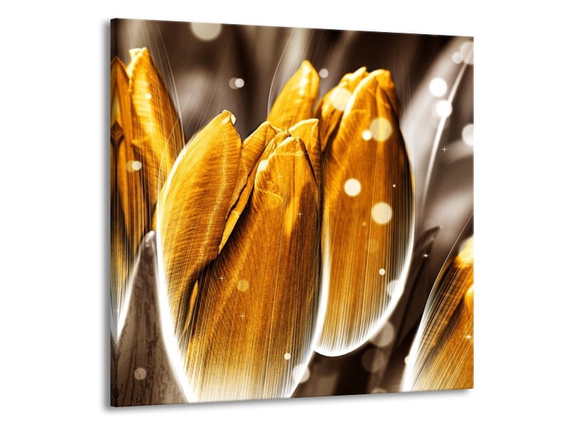 Canvas schilderij Tulp | Oranje, Grijs | 70x70cm 1Luik