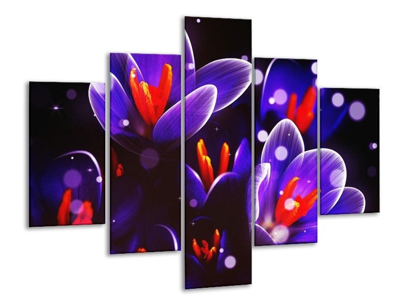 Canvas schilderij Krokus | Oranje, Blauw, | 100x70cm 5Luik