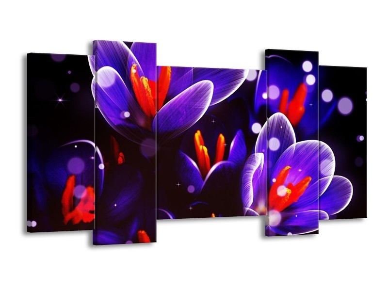 Canvas schilderij Krokus | Oranje, Blauw, | 120x65 5Luik