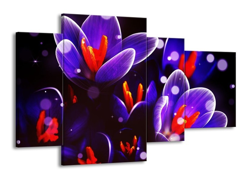 Canvas schilderij Krokus | Oranje, Blauw, | 120x75cm 4Luik