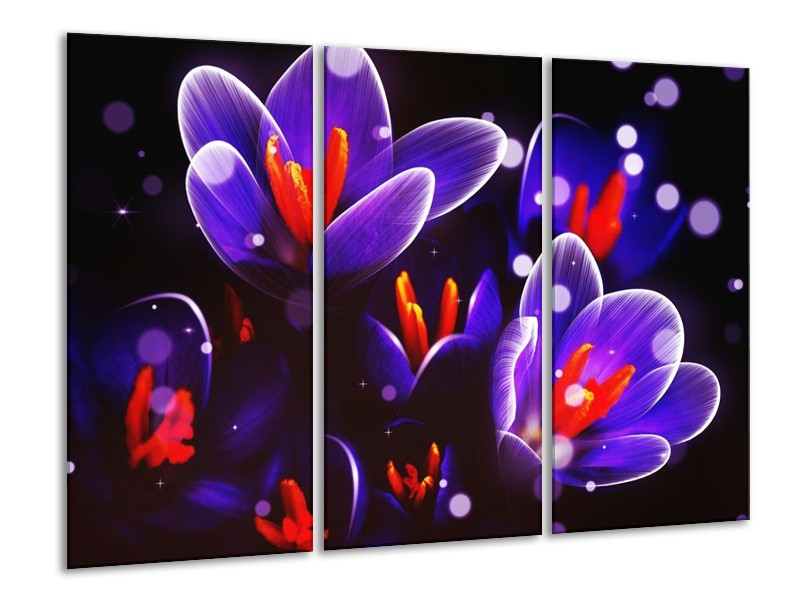 Canvas schilderij Krokus | Oranje, Blauw, | 120x80cm 3Luik