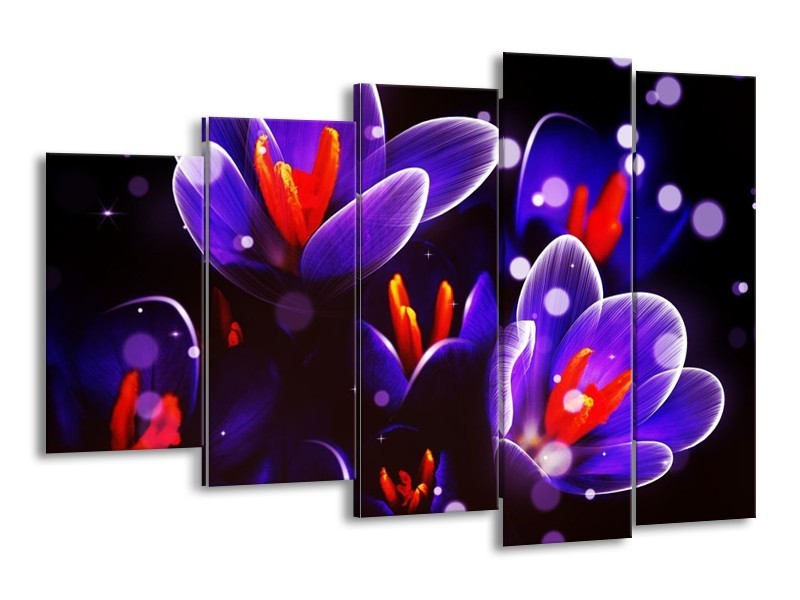 Canvas schilderij Krokus | Oranje, Blauw, | 150x100cm 5Luik