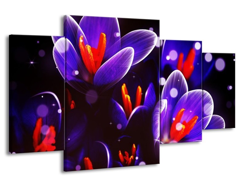 Canvas schilderij Krokus | Oranje, Blauw, | 160x90cm 4Luik