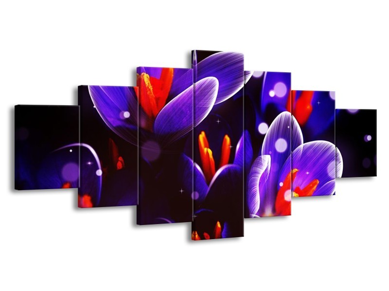 Canvas schilderij Krokus | Oranje, Blauw, | 210x100cm 7Luik