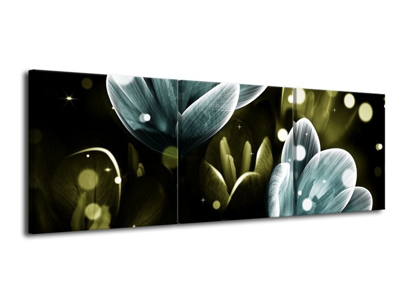 Canvas schilderij Krokus | Blauw, Groen | 120x40cm 3Luik