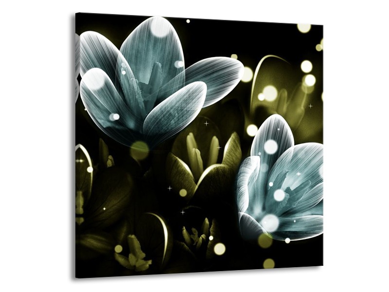 Canvas schilderij Krokus | Blauw, Groen | 50x50cm 1Luik