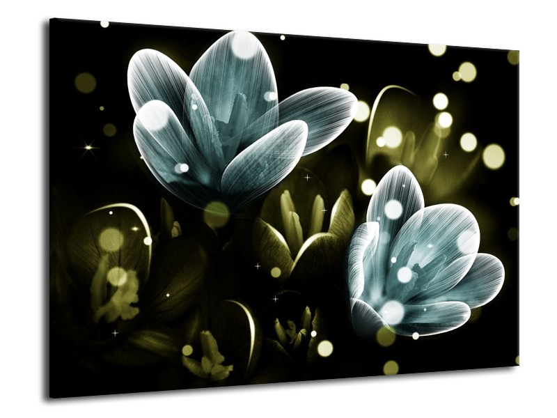 Canvas schilderij Krokus | Blauw, Groen | 70x50cm 1Luik