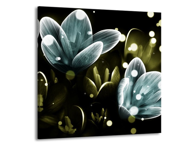 Canvas schilderij Krokus | Blauw, Groen | 70x70cm 1Luik