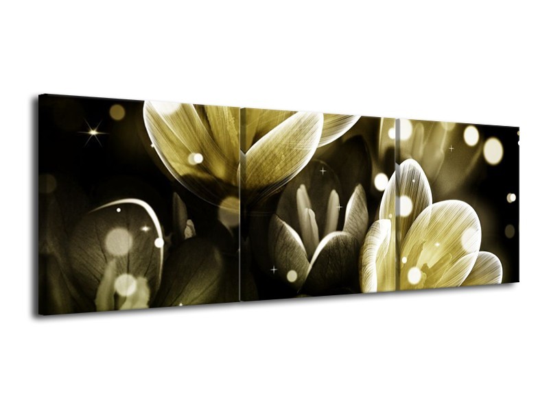 Canvas schilderij Bloem | Geel, Groen | 120x40cm 3Luik