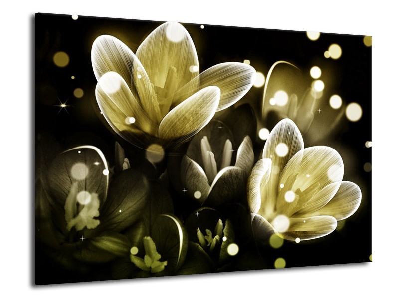 Canvas schilderij Bloem | Geel, Groen | 70x50cm 1Luik