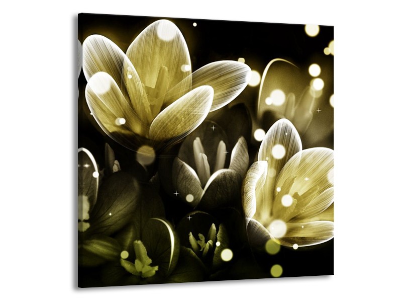 Canvas schilderij Bloem | Geel, Groen | 70x70cm 1Luik