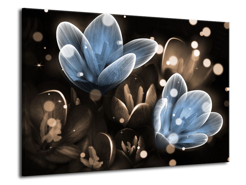 Canvas schilderij Bloem | Blauw, Grijs | 70x50cm 1Luik