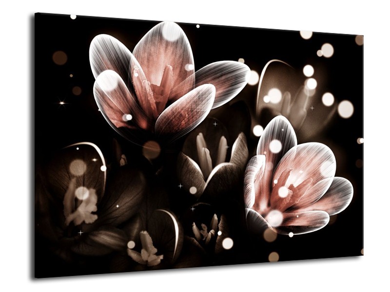 Canvas schilderij Bloem | Rood, Grijs | 70x50cm 1Luik
