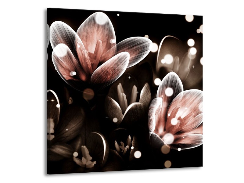 Canvas schilderij Bloem | Rood, Grijs | 70x70cm 1Luik