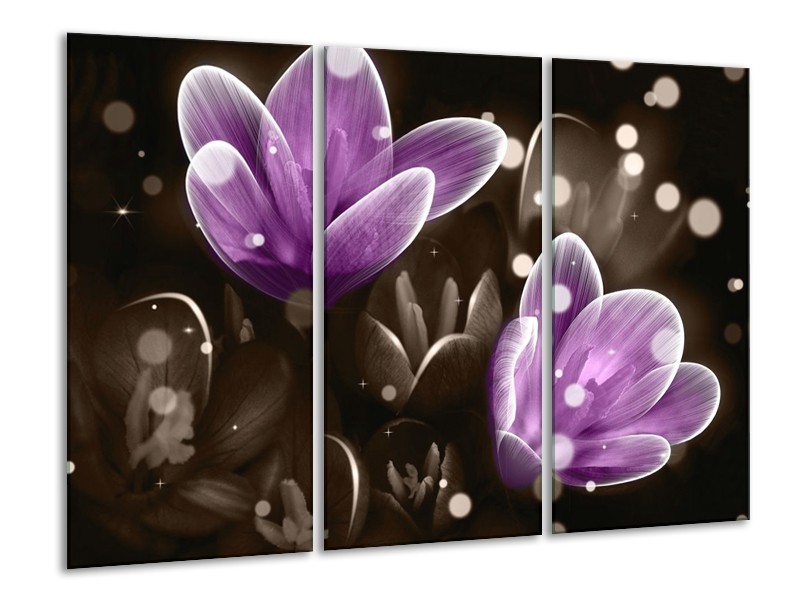 Canvas schilderij Bloem | Paars, Grijs | 120x80cm 3Luik