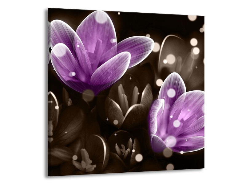 Canvas schilderij Bloem | Paars, Grijs | 50x50cm 1Luik
