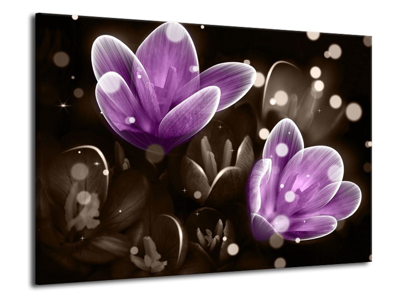 Canvas schilderij Bloem | Paars, Grijs | 70x50cm 1Luik