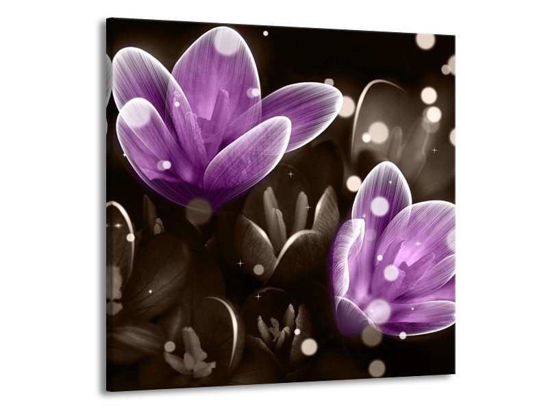 Canvas schilderij Bloem | Paars, Grijs | 70x70cm 1Luik