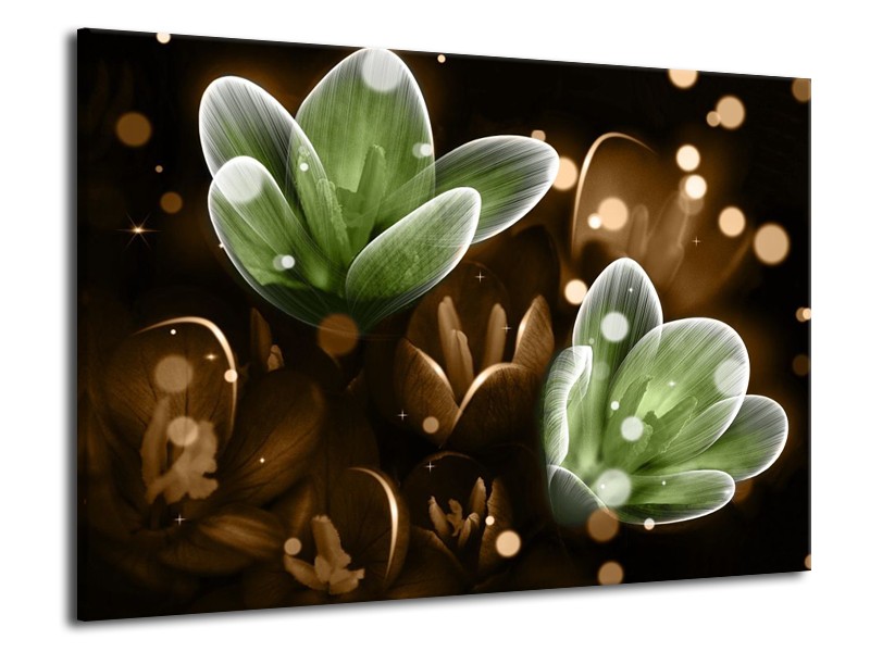 Canvas schilderij Bloem | Groen, Bruin | 70x50cm 1Luik