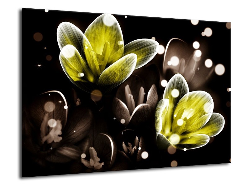 Canvas schilderij Bloem | Geel, Grijs | 70x50cm 1Luik